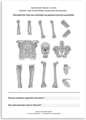 geschlechterdiskriminierung